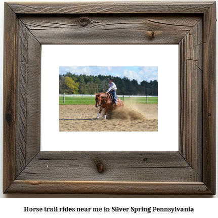 horse trail rides near me in Silver Spring, Pennsylvania